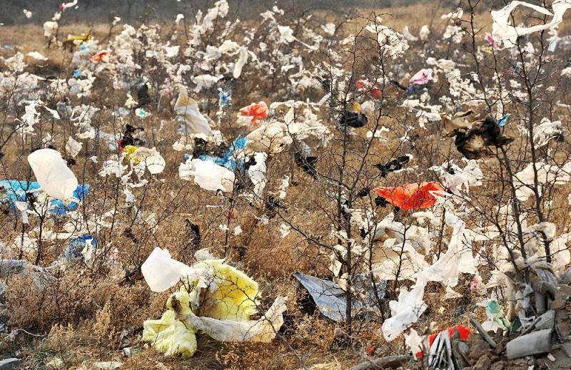 应对"白色污染,树立环保意识,可降解塑料迎来新的发展契机!